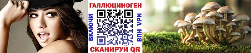 Галлюциногенные грибы GOLDEN TEACHER  Купить закладки  Ядрин 